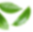 Taizhou Huangyan Zeyu New Material Technology Co., Ltd.