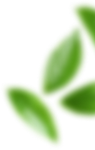 Taizhou Huangyan Zeyu New Material Technology Co., Ltd.