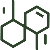 Fully Biodegradable Polyester