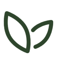 Bio-Friendly Materials Products