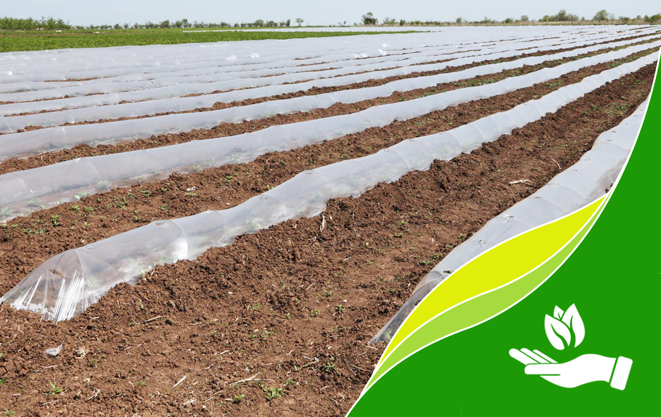 Special material for heat preservation and moisture retention fully biodegradable ground film BIO/F-0051W