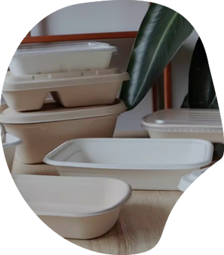 Bio-friendly lunch box