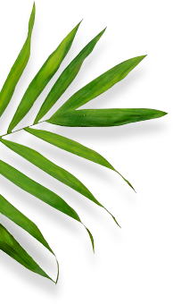 Taizhou Huangyan Zeyu New Material Technology Co., Ltd.